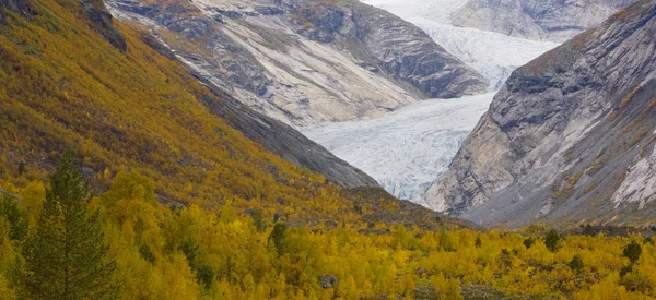 Nigardsbreen gletsjer — Stockfoto