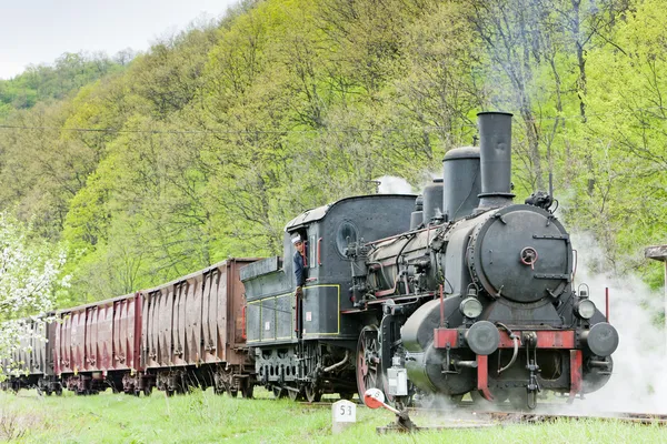 Steam freight train — Stock Photo, Image