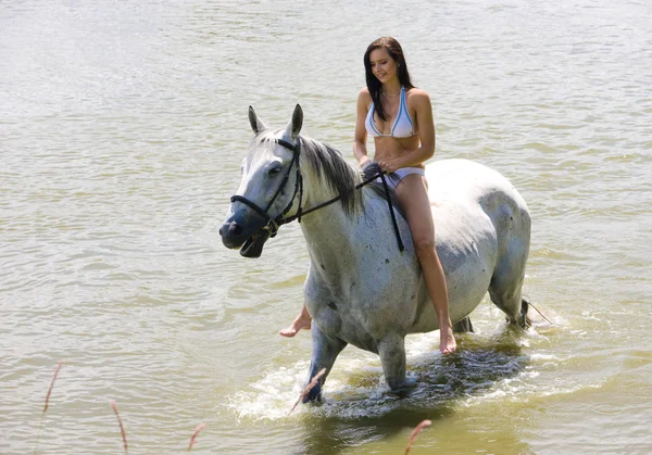 Reiten hoch zu Ross — Stockfoto