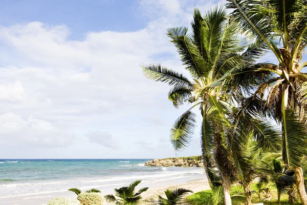 Skeete 's Bay, Barbados, Caribe — Foto de Stock