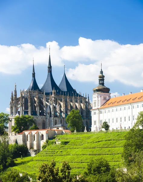 Kathedraal van st. barbara — Stockfoto