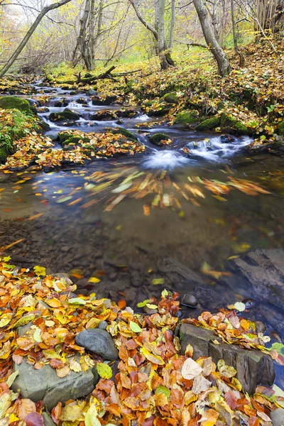 Осенью ручей — стоковое фото