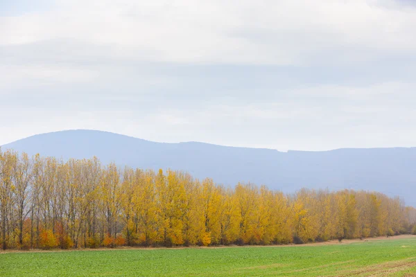 Sobrance の近くの秋の風景 — ストック写真