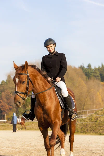 Equestrian on horseback — Stock Photo, Image