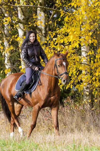 Equestrian on horseback — Stock Photo, Image