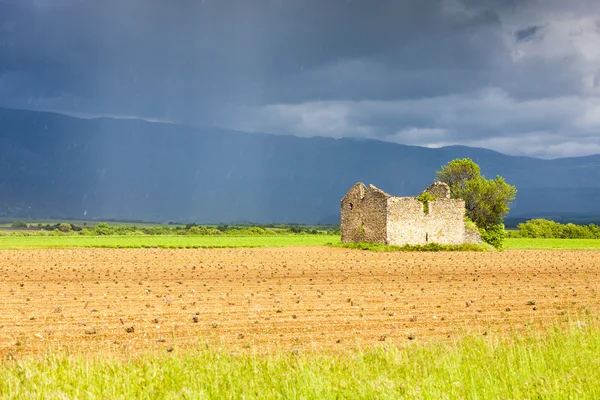 Field with a ruin of house and tree — Stock Photo, Image