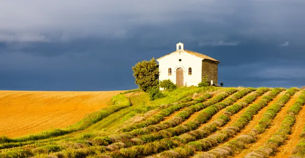 Chapel with lavender field — Stock Photo, Image