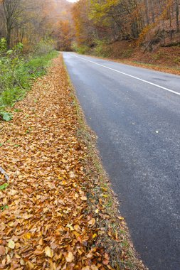 Boş yol Güz, Slovakya