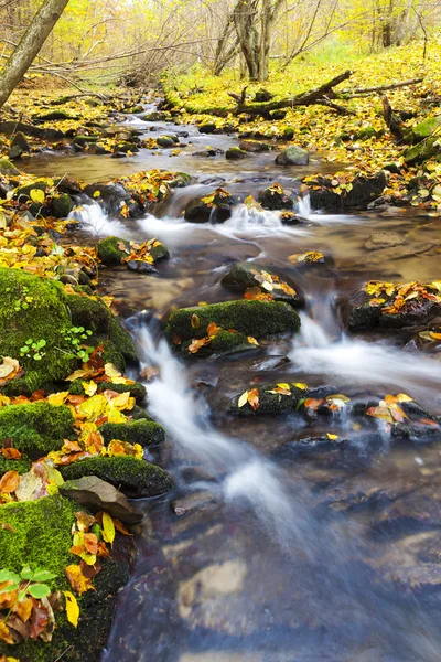 Brook in autumn, Slovakia — Stock Photo, Image