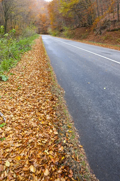 Пустая дорога осенью, Словакия — стоковое фото