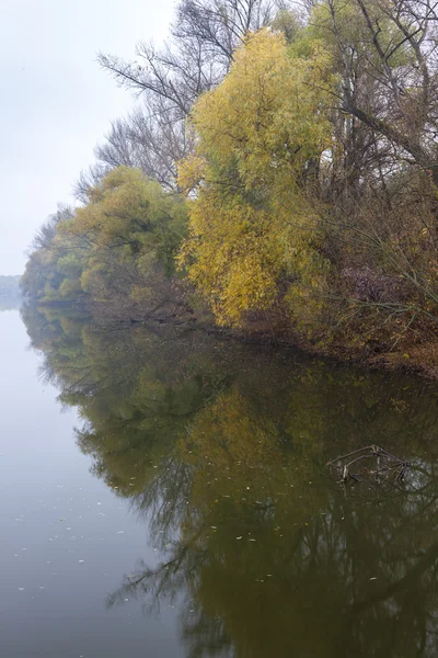 Piccolo fiume Danubio in autunno, Slovacchia — Foto Stock