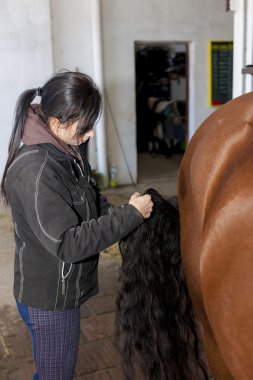 Equestrian with horse