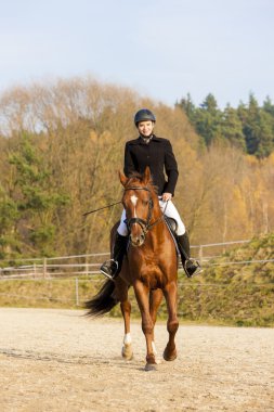 Equestrian with horse