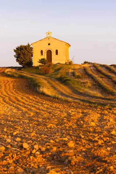 Capilla con campo de lavanda — Foto de Stock