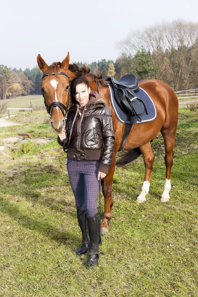 Equestrian with horse — Stok fotoğraf