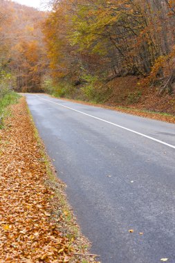 Boş yol Güz, Slovakya
