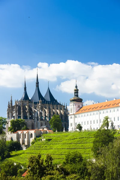 Katedrála sv. Barbory a Jezuitská škola, Kutná hora, Česká r — Stock fotografie