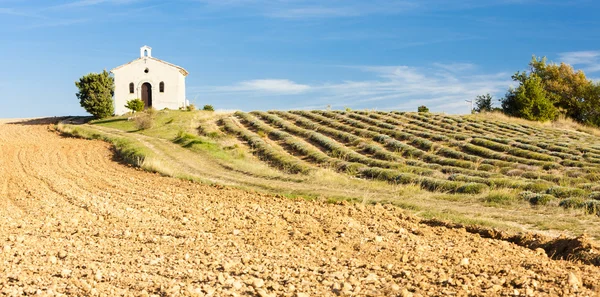 Kaplica z pola lawendy, płaskowyżu valensole de provence, fran — Zdjęcie stockowe