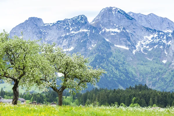 Avusturya Alplerinde yakınındaki hallstatt, upper austria, Avusturya — Stok fotoğraf
