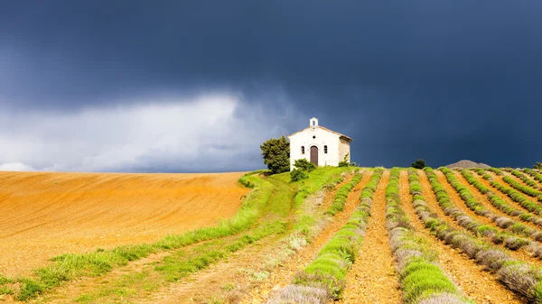 教堂与薰衣草田地、 高原 de valensole、 普罗旺斯，弗兰 — 图库照片