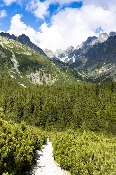 Mengusovska Vadisi, vysoke tatry (yüksek tatras), Slovakya — Stok fotoğraf