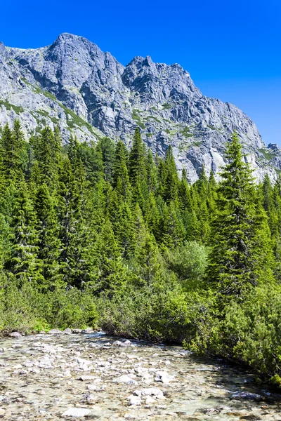 Mengusovska valley, Vysoké tatry (höga Tatra), Slovakien — Stockfoto