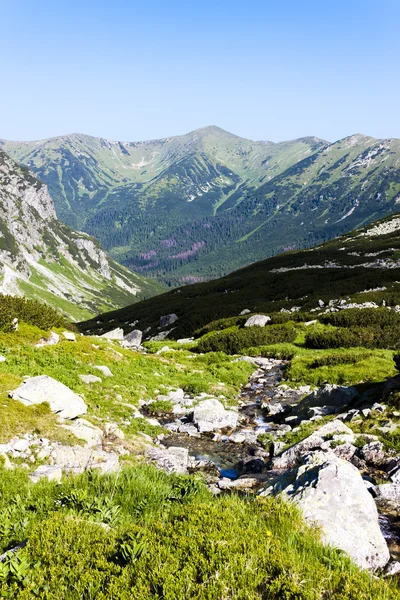 Valle di Hlinska, Vysoke Tatry (Alti Tatra), Slovacchia — Foto Stock