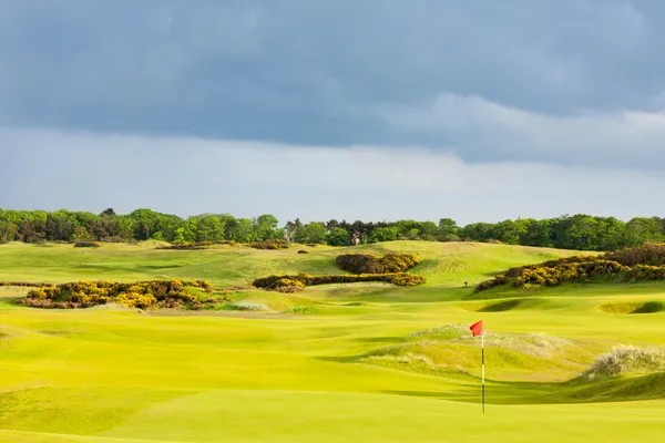 Golfplatz — Stockfoto