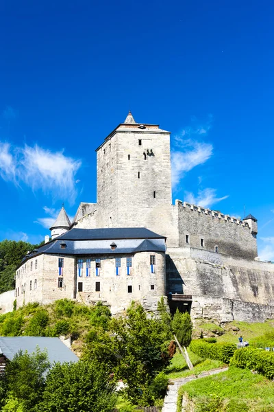 Castillo de Kost —  Fotos de Stock