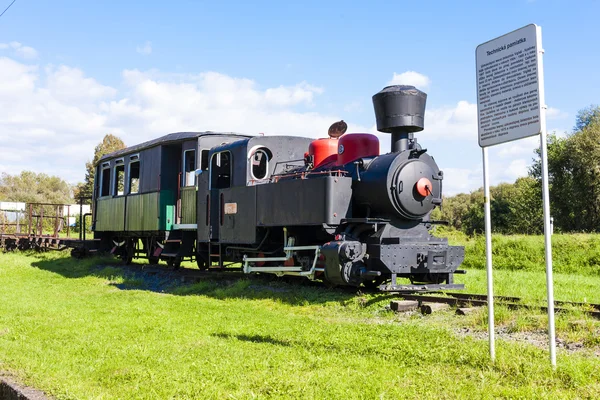 Locomotiva a vapor — Fotografia de Stock