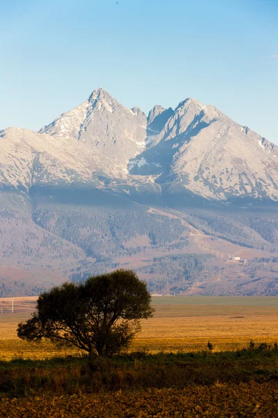 Surroundings of Lomnicky Peak — Stock Photo, Image