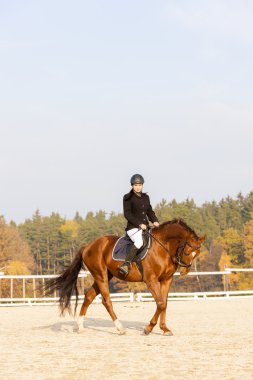 Binicilik at sırtında