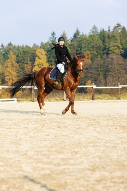 Binicilik at sırtında