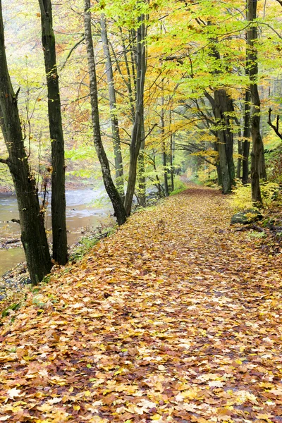 Valle de Peklo en otoño — Foto de Stock