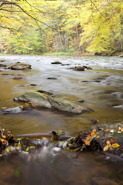 Metuje ποτάμι το φθινόπωρο — Φωτογραφία Αρχείου
