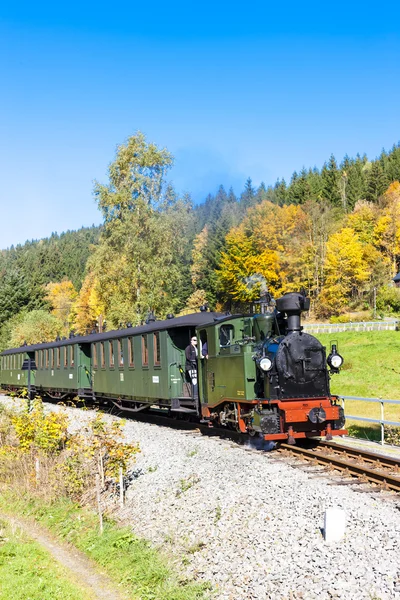 Dampfzug, Steinbach — Stockfoto