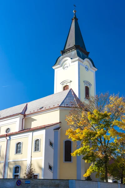 Bütün bir Aziz libochovice Kilisesi — Stok fotoğraf
