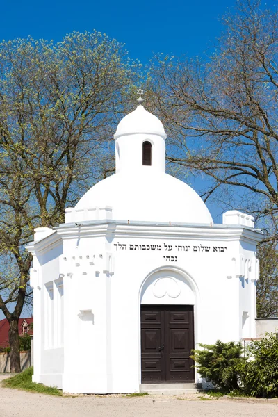 Jewish Cemetery, Podivin — Stock Photo, Image