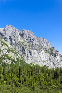 mengusovska Vadisi, vysoke tatry (yüksek tatras)