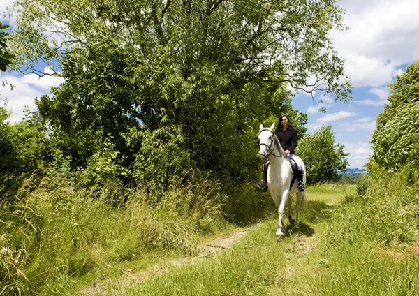 Binicilik at sırtında — Stok fotoğraf