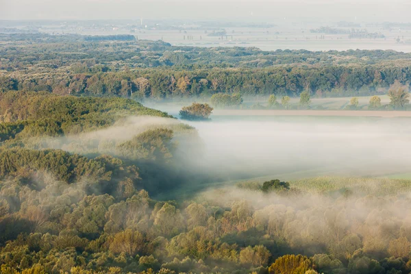 Paisaje con bosque otoñal en niebla —  Fotos de Stock