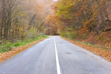 Boş yol Güz