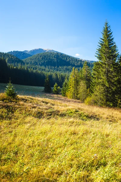 Nizke Tatry (Low Tatras), Slovakia — Stock Photo, Image