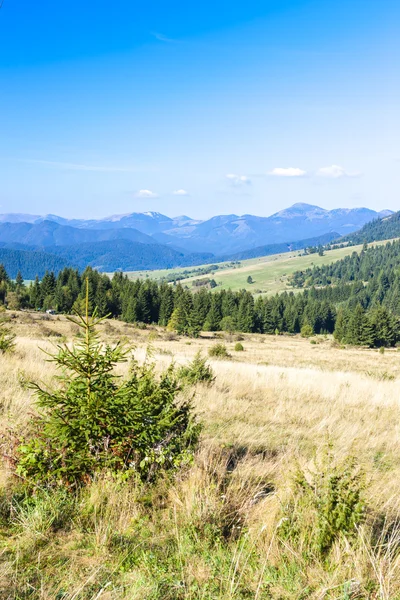 Nizke Tatry (Low Tatras), Slovakia — Stock Photo, Image