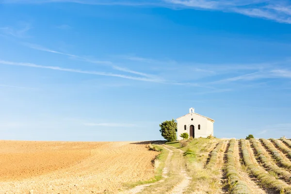 Chapel with lavender field, Plateau de Valensole — Stock Photo, Image