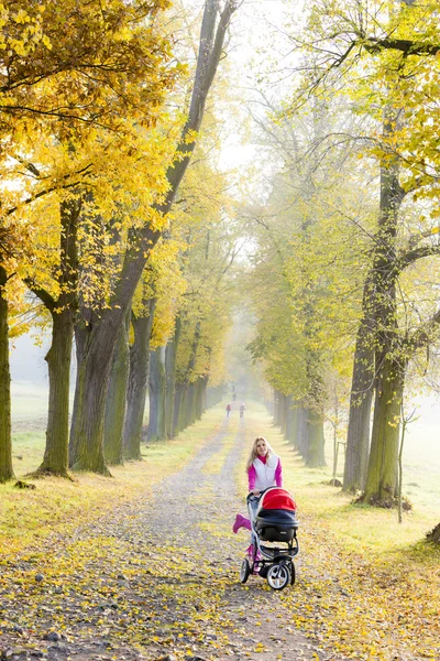 Kvinna med barnvagn på promenad i höstlig gränd — Stockfoto