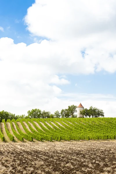 Wijngaard met molen in de buurt van ribagnac — Zdjęcie stockowe