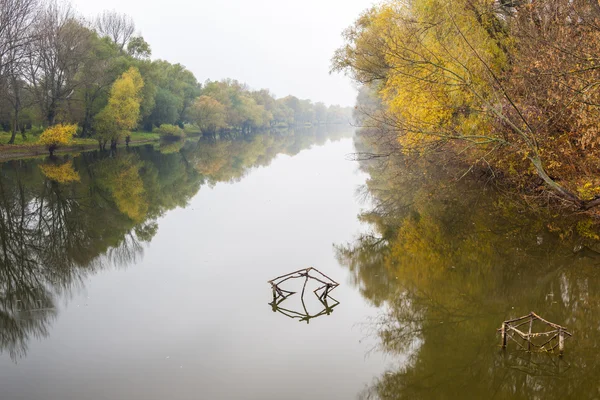 Lille Donau-flod i efteråret - Stock-foto