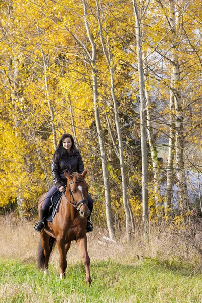 Equestre com seu cavalo — Fotografia de Stock