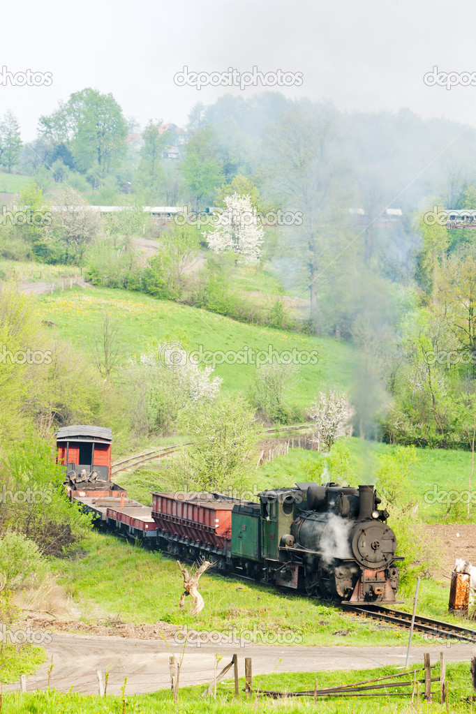 Narrow gauge railway